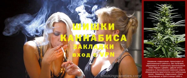 гидра Арсеньев