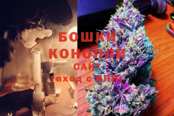 гидра Арсеньев